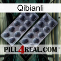 Qibianli 31